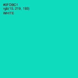 #0FDBC1 - Robin's Egg Blue Color Image