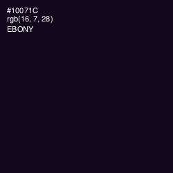 #10071C - Ebony Color Image