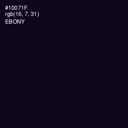#10071F - Ebony Color Image