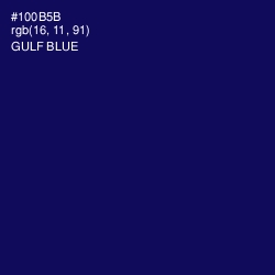 #100B5B - Gulf Blue Color Image