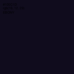 #100C1D - Ebony Color Image