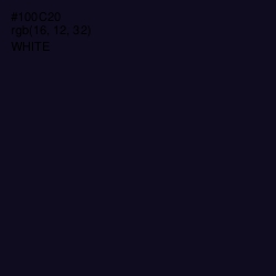 #100C20 - Black Pearl Color Image