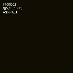 #100D02 - Asphalt Color Image