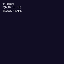 #100D24 - Black Pearl Color Image