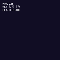 #100D25 - Black Pearl Color Image