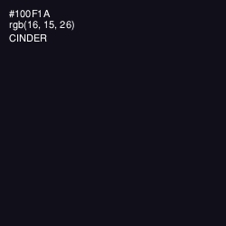 #100F1A - Cinder Color Image