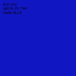 #1017C2 - Dark Blue Color Image