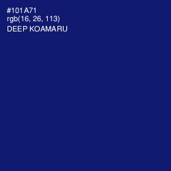 #101A71 - Deep Koamaru Color Image