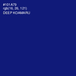 #101A79 - Deep Koamaru Color Image