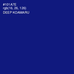 #101A7E - Deep Koamaru Color Image