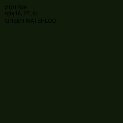 #101B09 - Green Waterloo Color Image