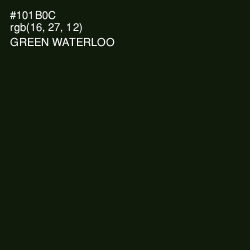 #101B0C - Green Waterloo Color Image