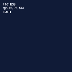 #101B38 - Haiti Color Image