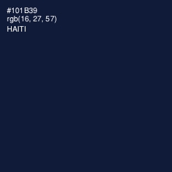 #101B39 - Haiti Color Image