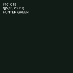 #101C15 - Hunter Green Color Image