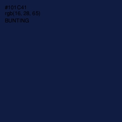 #101C41 - Bunting Color Image