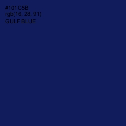 #101C5B - Gulf Blue Color Image