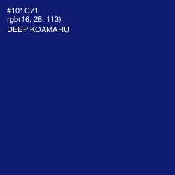 #101C71 - Deep Koamaru Color Image