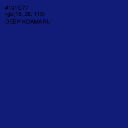 #101C77 - Deep Koamaru Color Image