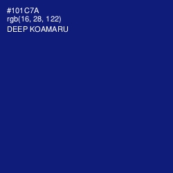 #101C7A - Deep Koamaru Color Image