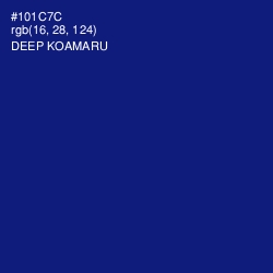 #101C7C - Deep Koamaru Color Image