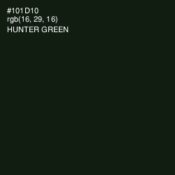 #101D10 - Hunter Green Color Image