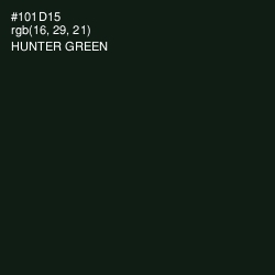 #101D15 - Hunter Green Color Image