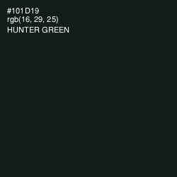 #101D19 - Hunter Green Color Image