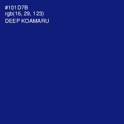 #101D7B - Deep Koamaru Color Image