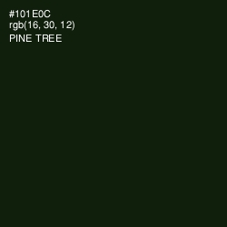 #101E0C - Pine Tree Color Image