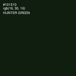 #101E10 - Hunter Green Color Image