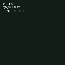 #101E15 - Hunter Green Color Image