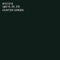 #101E19 - Hunter Green Color Image