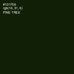 #101F06 - Pine Tree Color Image