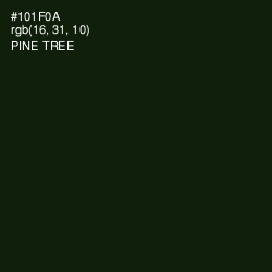 #101F0A - Pine Tree Color Image