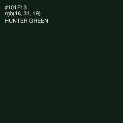 #101F13 - Hunter Green Color Image