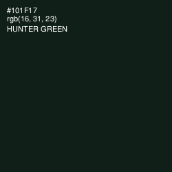 #101F17 - Hunter Green Color Image