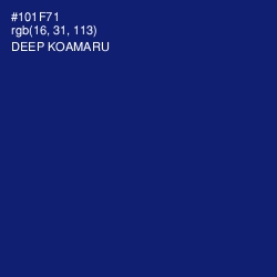 #101F71 - Deep Koamaru Color Image