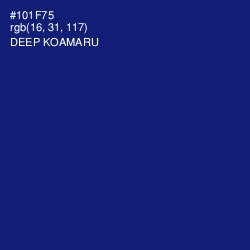 #101F75 - Deep Koamaru Color Image