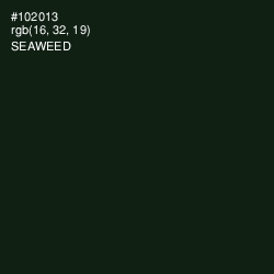 #102013 - Seaweed Color Image