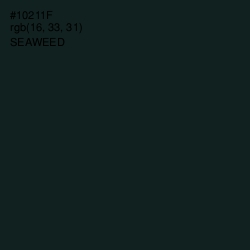 #10211F - Seaweed Color Image