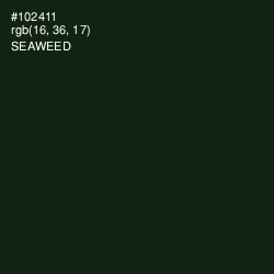 #102411 - Seaweed Color Image