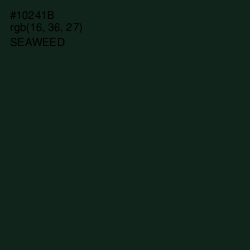 #10241B - Seaweed Color Image