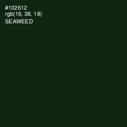 #102612 - Seaweed Color Image