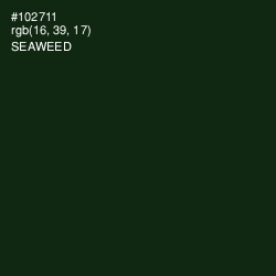 #102711 - Seaweed Color Image