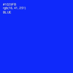 #1029FB - Blue Color Image