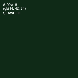 #102A18 - Seaweed Color Image