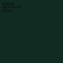 #102C22 - Celtic Color Image