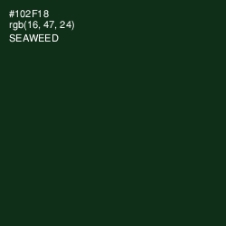 #102F18 - Seaweed Color Image