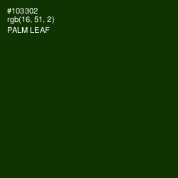 #103302 - Palm Leaf Color Image